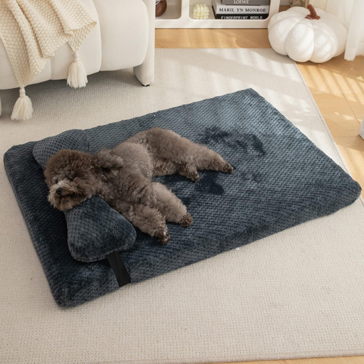 Comfy Plush Medium Dog Orthopedic Bed